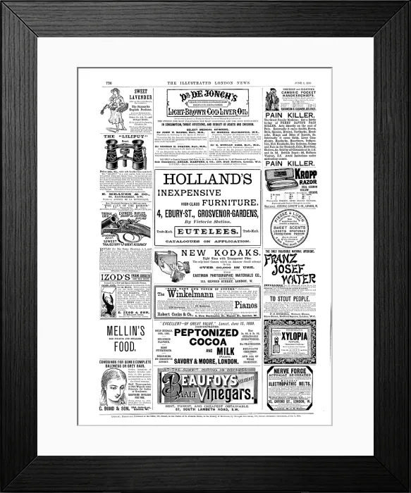 Framed Print : Page of advertisements, 1890. Creator: Unknown Framed Print : Page of advertisements, 1890. Creator: Unknown