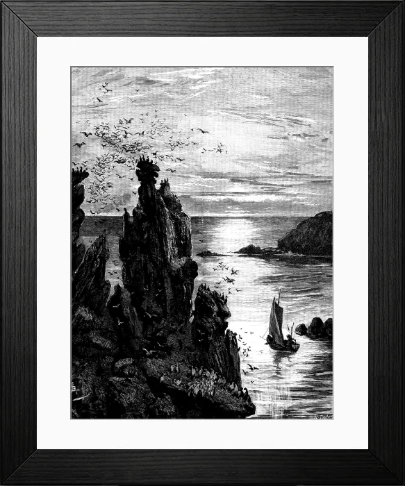 Framed Print : There in the dying light the puffins swam...and seagulls screamed...overhead, 1890. Creator: R. Taylor Framed Print : There in the dying light the puffins swam...and seagulls screamed...overhead, 1890. Creator: R. Taylor
