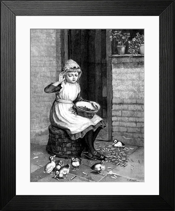 Framed Print : 'Ducks and Green Peas' - by Miss E. Mitchell, 1890. Creator: R. Taylor Framed Print : 'Ducks and Green Peas' - by Miss E. Mitchell, 1890. Creator: R. Taylor