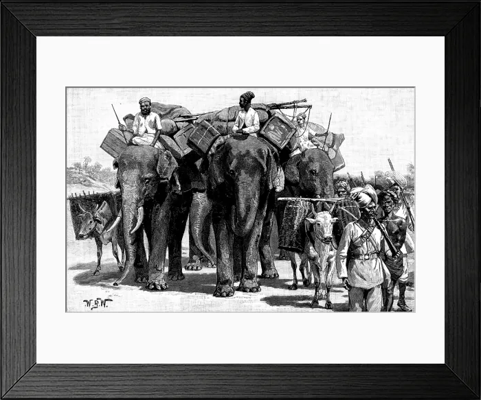 Framed Print : The Military Police of Burmah: forming escort of baggage animals on the march, 1890. Creator: Unknown Framed Print : The Military Police of Burmah: forming escort of baggage animals on the march, 1890. Creator: Unknown