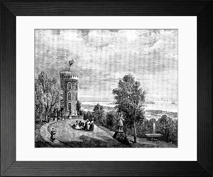 Framed Print : Tower, near Cork, commemorating Father Mathew's reception in England, 1890. Creator: Unknown Framed Print : Tower, near Cork, commemorating Father Mathew's reception in England, 1890. Creator: Unknown