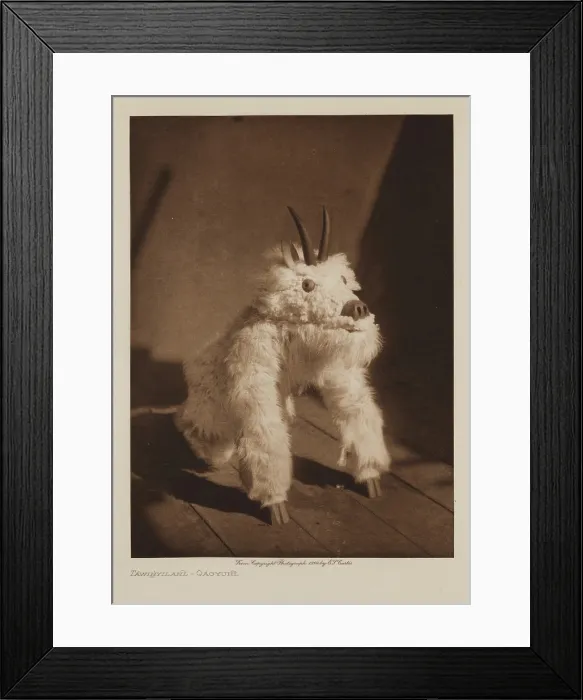 Framed Print : Tawihyilahl, Qagyuhl, 1914. Creator: Edward Sheriff Curtis Framed Print : Tawihyilahl, Qagyuhl, 1914. Creator: Edward Sheriff Curtis