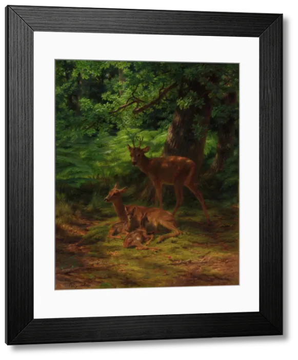 Framed Print : Deer in Repose, 1867. Creator: Rosa Bonheur Framed Print : Deer in Repose, 1867. Creator: Rosa Bonheur