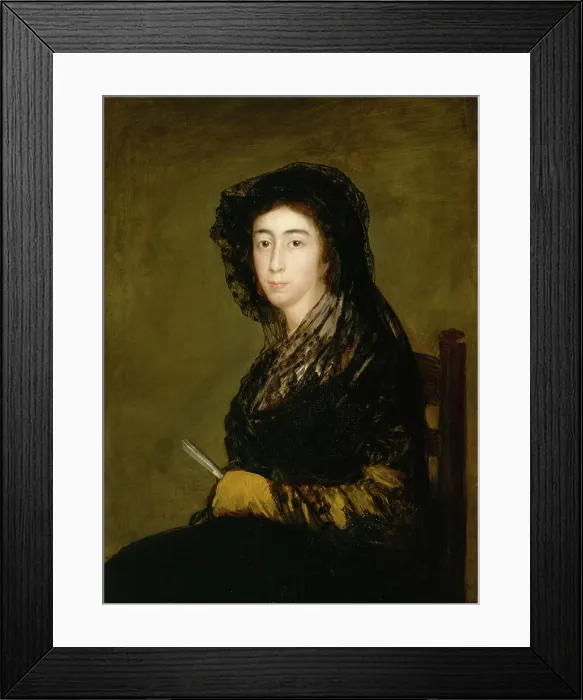 Framed Print : Dona Amalia Bonells de Costa, c1805. Creator: Francisco Goya Framed Print : Dona Amalia Bonells de Costa, c1805. Creator: Francisco Goya