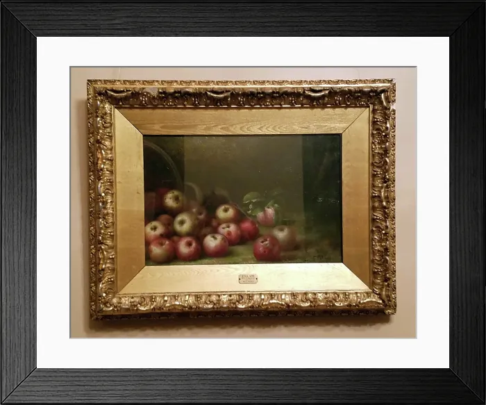 Framed Print : Still Life with Apples, 1897. Creator: Simon P Shafer Framed Print : Still Life with Apples, 1897. Creator: Simon P Shafer