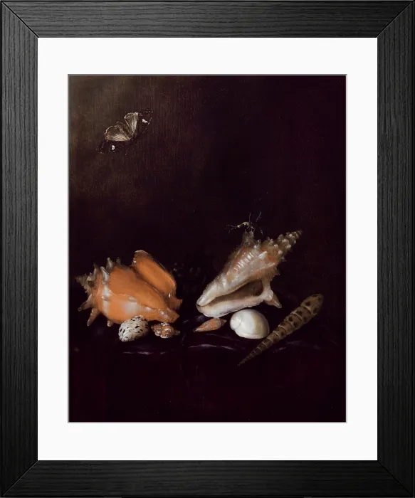Framed Print : Still Life with Shells and Insects, 1656. Creator: Pieter van de Venne Framed Print : Still Life with Shells and Insects, 1656. Creator: Pieter van de Venne