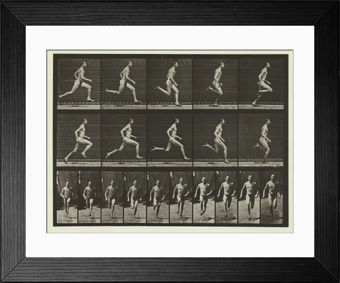 Framed Print : Plate #60, Animal Locomotion, no date [1884-1885]. Creator: Eadweard J Muybridge