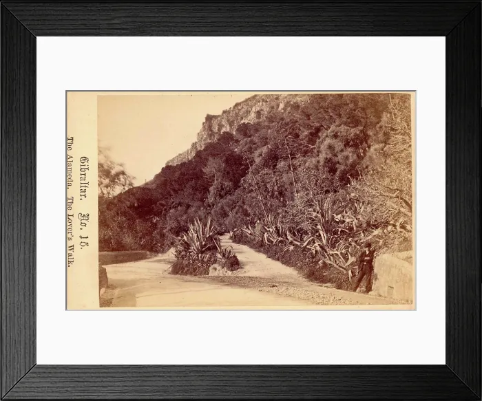 Framed Print : Gibraltar, The Alameda, The Lover's Walk, 19th century. Creator: Anon. Gibraltar, The Alameda, The Lover's Walk, 19th century. Creator: Anon Framed Print : Gibraltar, The Alameda, The Lover's Walk, 19th century. Creator: Anon. Gibraltar, The Alameda, The Lover's Walk, 19th century. Creator: Anon