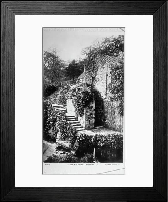 Framed Print : Newcastle Upon Tyne, Jesmond Dene, The Water Mill c1887. Creator: Unknown Framed Print : Newcastle Upon Tyne, Jesmond Dene, The Water Mill c1887. Creator: Unknown