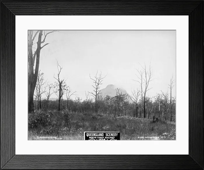Framed Print : Glasshouse Mountains, Tibberoowuccum, 1894. Creator: Unknown Framed Print : Glasshouse Mountains, Tibberoowuccum, 1894. Creator: Unknown