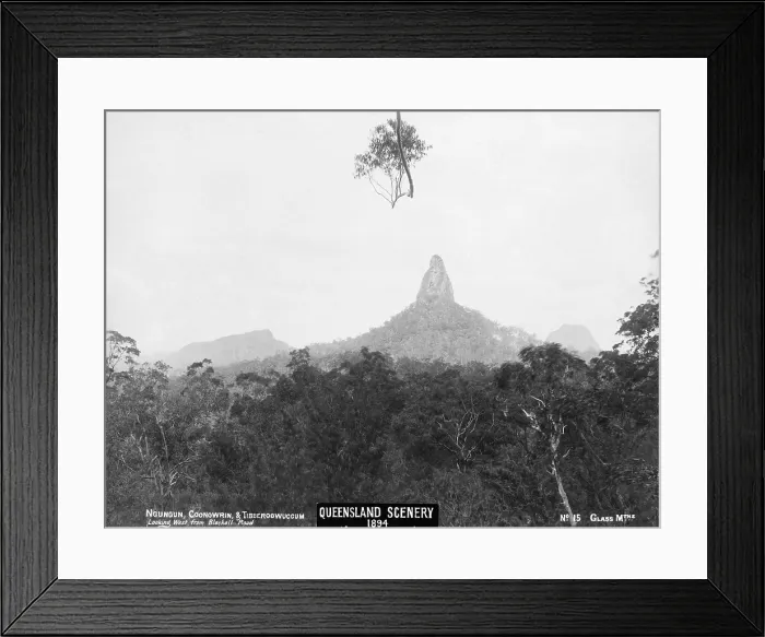 Framed Print : Glasshouse Mountains, Ngungun, Coonowrin and Tibberoowuccum, 1894. Creator: Unknown Framed Print : Glasshouse Mountains, Ngungun, Coonowrin and Tibberoowuccum, 1894. Creator: Unknown