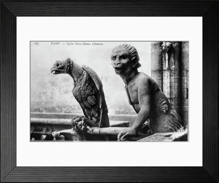 Framed Print : Chimeres (Gargoyles), Eglise Notre Dame, Chimeres, 1900. Creator: Unknown Framed Print : Chimeres (Gargoyles), Eglise Notre Dame, Chimeres, 1900. Creator: Unknown