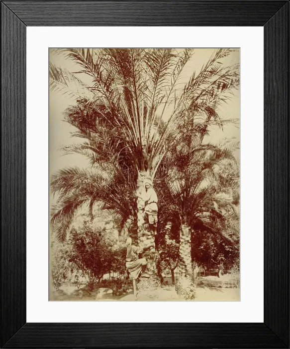 Framed Print : Egypt, 1880. Creator: Hippolyte Arnoux Framed Print : Egypt, 1880. Creator: Hippolyte Arnoux