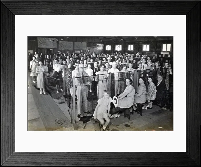 Framed Print : Camouflage net making, Kelvin Grove Drill Hall (now Z 10), Brisbane, 1941. Creator: Isabel Bain Framed Print : Camouflage net making, Kelvin Grove Drill Hall (now Z 10), Brisbane, 1941. Creator: Isabel Bain