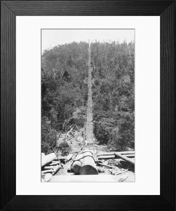 Framed Print : Pine Chute, Biarra, 1925. Creator: Jack Bain Framed Print : Pine Chute, Biarra, 1925. Creator: Jack Bain
