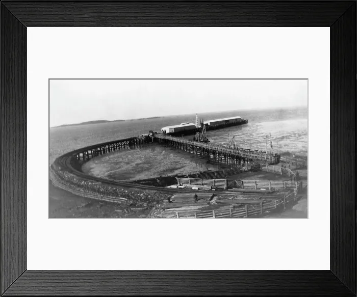 Framed Print : Gladstone Harbour Rail Jetty, 1925. Creator: Jack Bain Framed Print : Gladstone Harbour Rail Jetty, 1925. Creator: Jack Bain