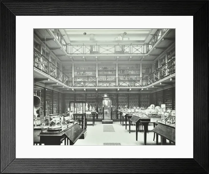 Framed Print : 39-43 Lincoln's Inn Fields, Westminster LB, London: Royal College of Surgeons, museum room 2, 1911 Framed Print : 39-43 Lincoln's Inn Fields, Westminster LB, London: Royal College of Surgeons, museum room 2, 1911
