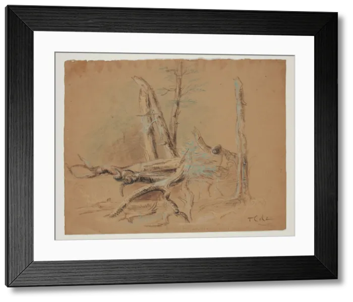 Framed Print : Trunks of Trees and Foliage, between 1820 and 1848. Creator: Thomas Cole Framed Print : Trunks of Trees and Foliage, between 1820 and 1848. Creator: Thomas Cole