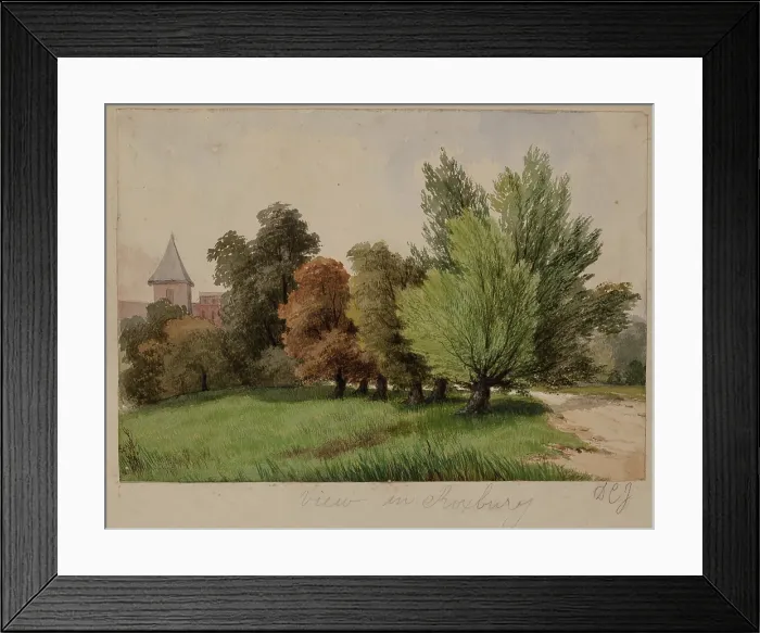 Framed Print : View in Roxbury, c1820-1865. Creator: David Claypoole Johnston Framed Print : View in Roxbury, c1820-1865. Creator: David Claypoole Johnston