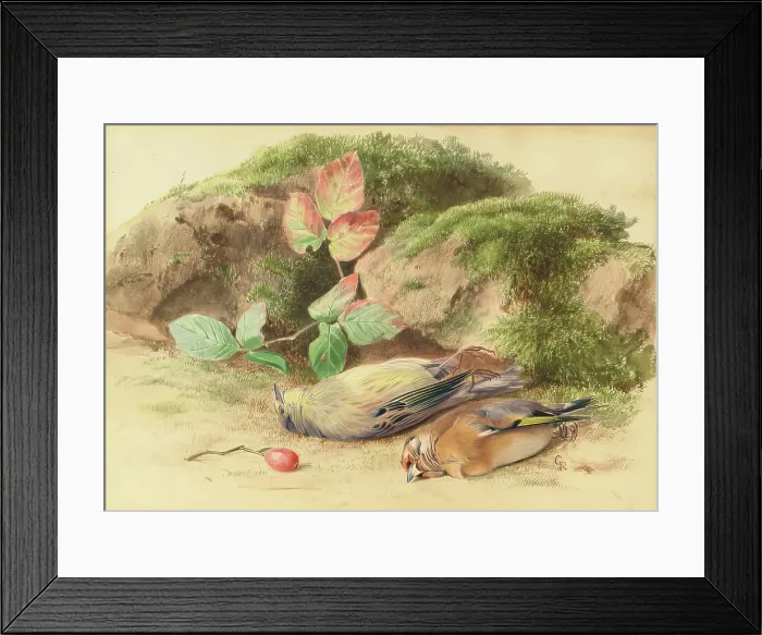 Framed Print : Dead Birds, 1875-1899. Creator: George Reid Framed Print : Dead Birds, 1875-1899. Creator: George Reid