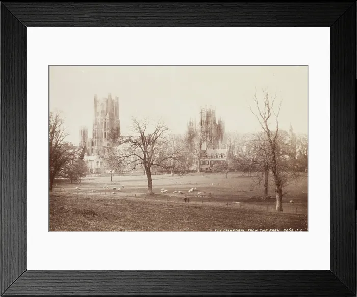 Framed Print : Ely Cathedral from the Park, between 1870 and 1880. Creator: James Valentine Framed Print : Ely Cathedral from the Park, between 1870 and 1880. Creator: James Valentine