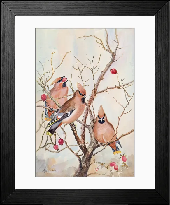 Framed Print : Untitled - rosehips, c1908. Creator: Mary Milne Framed Print : Untitled - rosehips, c1908. Creator: Mary Milne
