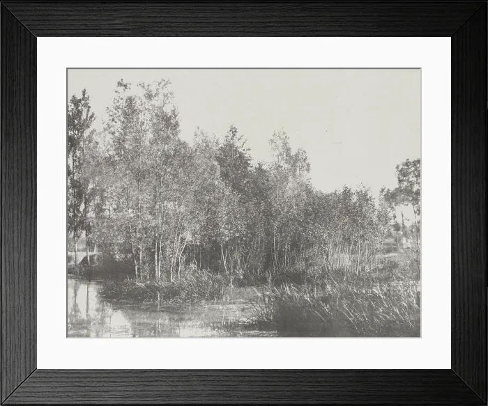 Framed Print : A Marsh, c1852. Creator: Adalbert Cuvelier Framed Print : A Marsh, c1852. Creator: Adalbert Cuvelier