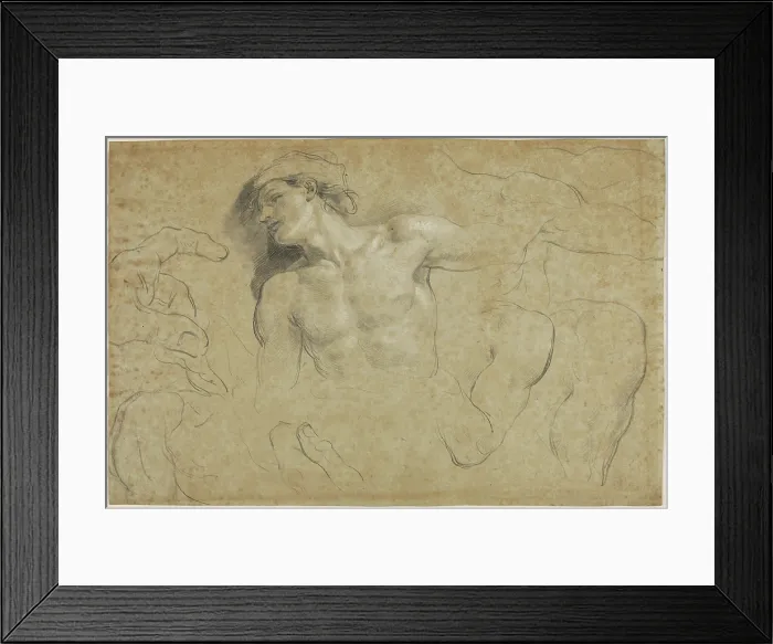 Framed Print : Studies of a Male Torso with Additional Studies of Hands, Shoulders, and a Leg, between 1650 & 1719. Creator: Carlo Cignani Framed Print : Studies of a Male Torso with Additional Studies of Hands, Shoulders, and a Leg, between 1650 & 1719. Creator: Carlo Cignani