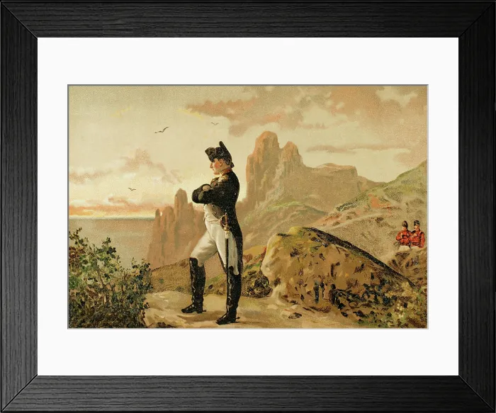 Framed Print : Napoleon Bonaparte, (1769-1821), French military and political leader, 1881. Creator: Unknown Framed Print : Napoleon Bonaparte, (1769-1821), French military and political leader, 1881. Creator: Unknown