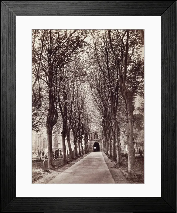 Framed Print : Avenue to the Church, Stratford on Avon, between 1870 and 1880. Creator: Francis Bedford Framed Print : Avenue to the Church, Stratford on Avon, between 1870 and 1880. Creator: Francis Bedford
