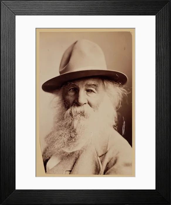 Framed Print : Walt Whitman, c1870s. Creator: Napoleon Sarony Framed Print : Walt Whitman, c1870s. Creator: Napoleon Sarony