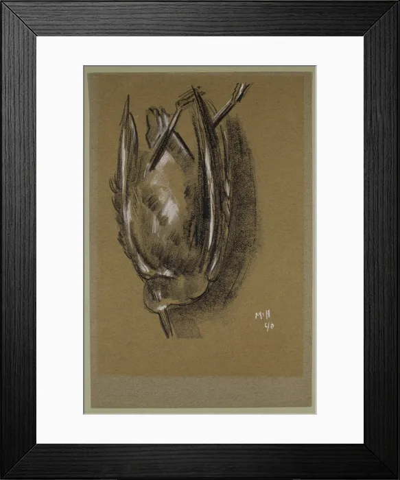 Framed Print : Gull, c1940. Creator: Marsden Hartley Framed Print : Gull, c1940. Creator: Marsden Hartley