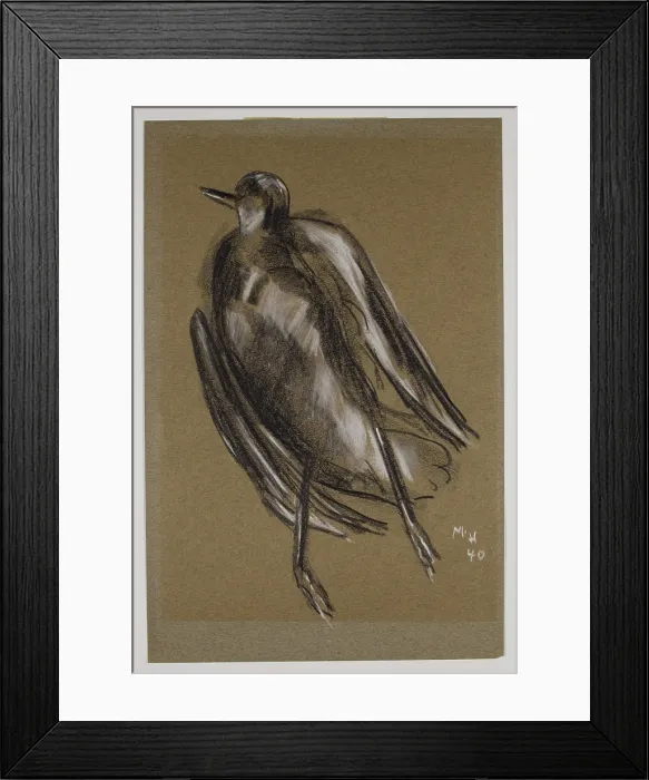 Framed Print : Gull, c1940. Creator: Marsden Hartley Framed Print : Gull, c1940. Creator: Marsden Hartley