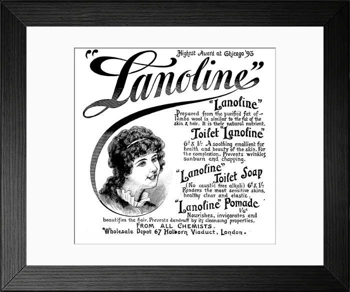 Framed Print : Advertisement for Lanoline, 1895. Creator: Unknown Framed Print : Advertisement for Lanoline, 1895. Creator: Unknown