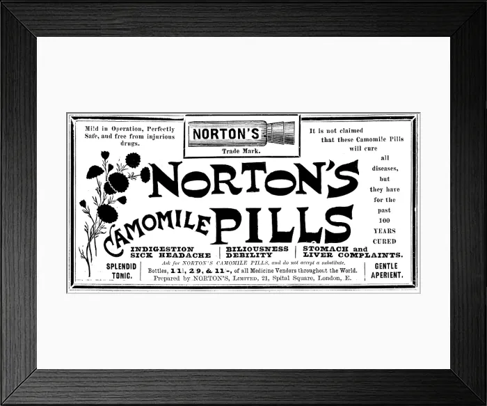 Framed Print : Advertisement for Norton's Camomile Pills, 1895. Creator: Unknown. Advertisement for Norton's Camomile Pills, 1895. Creator: Unknown Framed Print : Advertisement for Norton's Camomile Pills, 1895. Creator: Unknown. Advertisement for Norton's Camomile Pills, 1895. Creator: Unknown