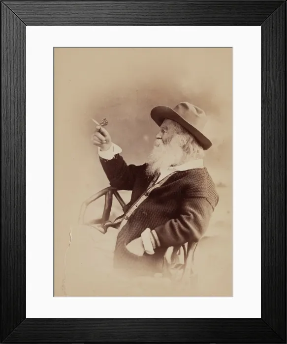 Framed Print : Walt Whitman, c1870s. Creators: Walt Whitman, Philips and Taylor Framed Print : Walt Whitman, c1870s. Creators: Walt Whitman, Philips and Taylor