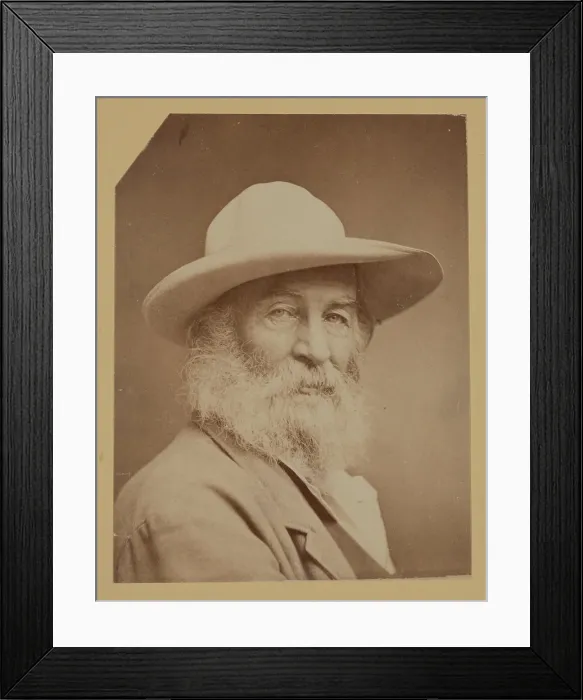 Framed Print : Walt Whitman, between 1870 and 1871. Creator: Unknown Framed Print : Walt Whitman, between 1870 and 1871. Creator: Unknown