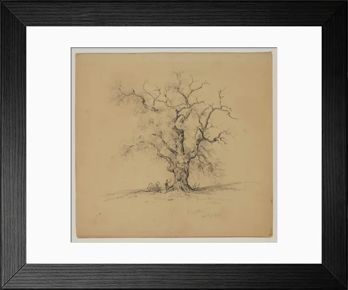 Framed Print : Oak Tree, Kingston, September 7th, 1838, 1838. Creator: John William Casilear Framed Print : Oak Tree, Kingston, September 7th, 1838, 1838. Creator: John William Casilear