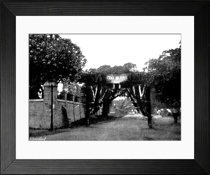 Framed Print : Arrival, and Subsequent Death, of Lady Carter at Lagos: triumphal arch opposite Christ Church, 1895. Creator: George Meisenbach Framed Print : Arrival, and Subsequent Death, of Lady Carter at Lagos: triumphal arch opposite Christ Church, 1895. Creator: George Meisenbach