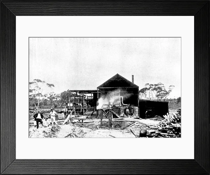 Framed Print : The Coolgardie Goldfields: a battery in course of construction, 1895. Creator: Unknown Framed Print : The Coolgardie Goldfields: a battery in course of construction, 1895. Creator: Unknown