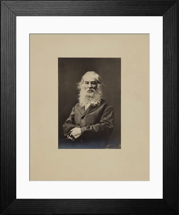 Framed Print : Walt Whitman, 1873. Creator: Unknown Framed Print : Walt Whitman, 1873. Creator: Unknown