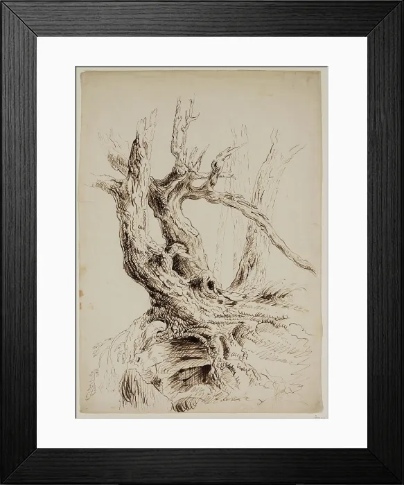 Framed Print : Gnarled Tree Trunk, c1826. Creator: Thomas Cole Framed Print : Gnarled Tree Trunk, c1826. Creator: Thomas Cole