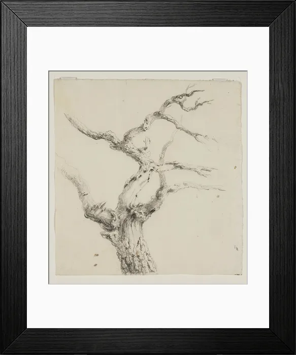 Framed Print : Branches of a Tree, c1830s. Creator: Thomas Cole Framed Print : Branches of a Tree, c1830s. Creator: Thomas Cole
