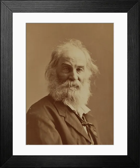 Framed Print : Walt Whitman, 1871. Creator: J. Gurney & Son Framed Print : Walt Whitman, 1871. Creator: J. Gurney & Son