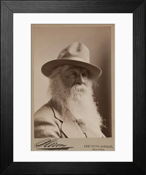 Framed Print : Walt Whitman, 1879. Creator: Napoleon Sarony Framed Print : Walt Whitman, 1879. Creator: Napoleon Sarony