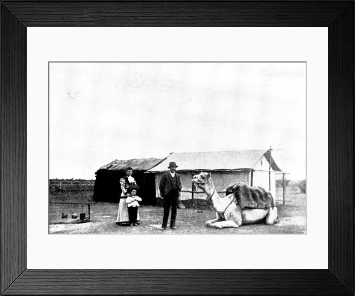 Framed Print : The Coolgardie Goldfields: Coolgardie Villa, 1895. Creator: George Meisenbach Framed Print : The Coolgardie Goldfields: Coolgardie Villa, 1895. Creator: George Meisenbach