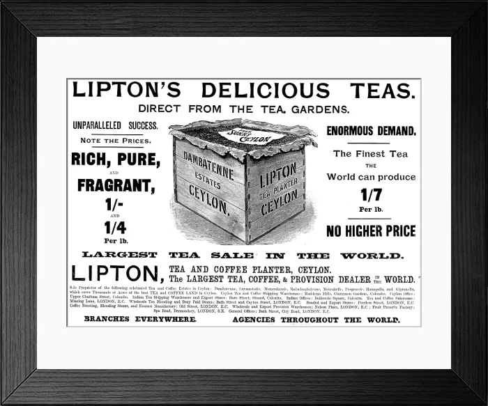 Framed Print : Advertisement for Lipton's Tea, 1895. Creator: Unknown. Advertisement for Lipton's Tea, 1895. Creator: Unknown Framed Print : Advertisement for Lipton's Tea, 1895. Creator: Unknown. Advertisement for Lipton's Tea, 1895. Creator: Unknown