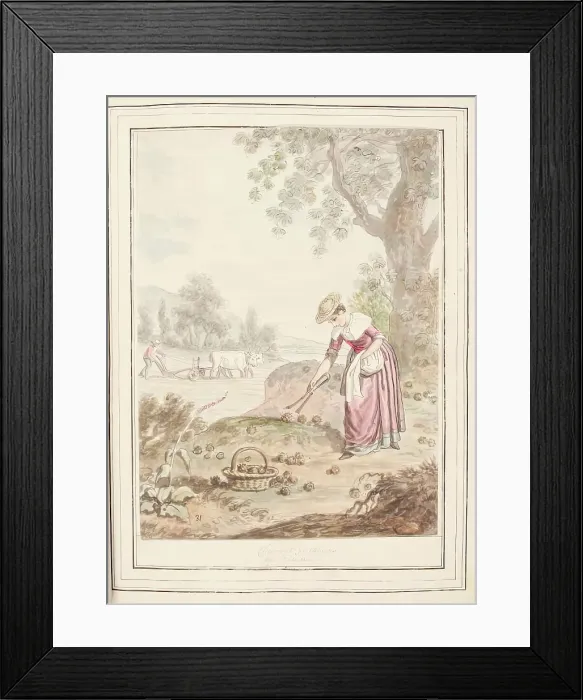 Framed Print : Chestnut Gatherers of Loiana, leaf from A Collection of Dresses by David Allan Mostly... 1776 Framed Print : Chestnut Gatherers of Loiana, leaf from A Collection of Dresses by David Allan Mostly... 1776
