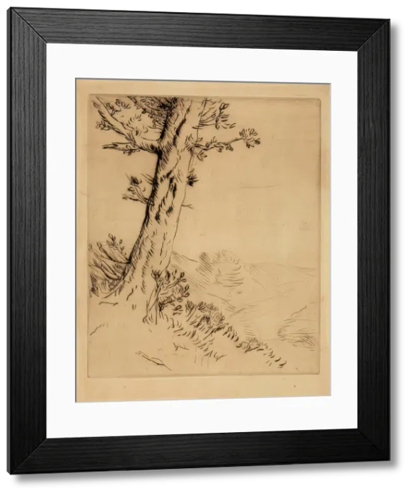 Framed Print : Tronc D'arbre, c1879. Creator: Alphonse Legros. Tronc D'arbre, c1879. Creator: Alphonse Legros Framed Print : Tronc D'arbre, c1879. Creator: Alphonse Legros. Tronc D'arbre, c1879. Creator: Alphonse Legros
