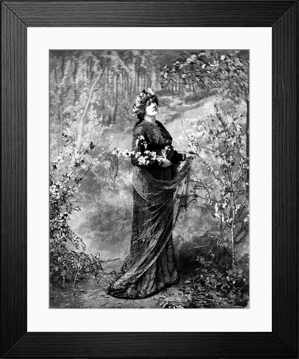 Framed Print : Miss Ellen Terry as Guinevere in 'King Arthur, ' at the Lyceum, 1895. Creator: P Naumann Framed Print : Miss Ellen Terry as Guinevere in 'King Arthur, ' at the Lyceum, 1895. Creator: P Naumann